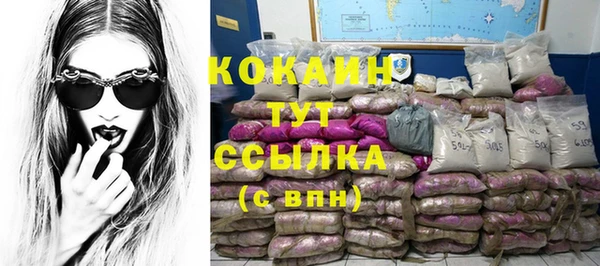 дмт Болотное
