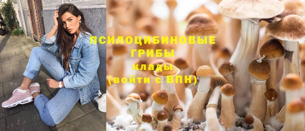 каннабис Пересвет